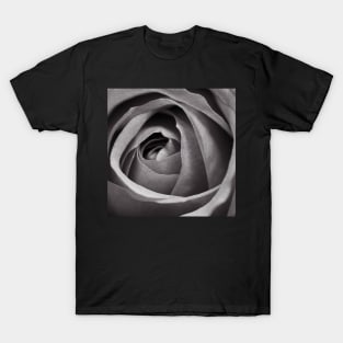 Rose T-Shirt